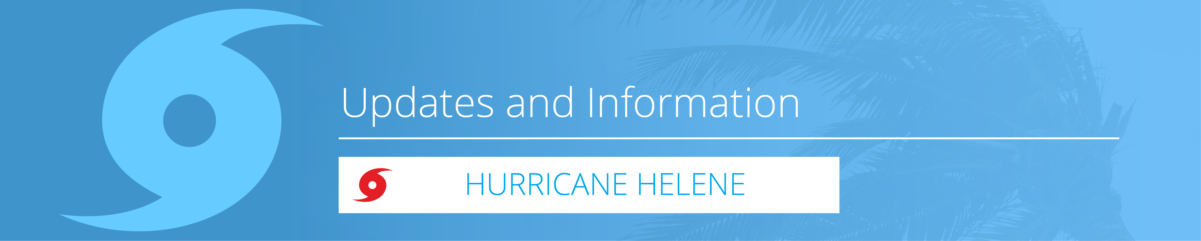 Hurricane Idalia Banner